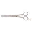 Ancol Ergo Thinning Scissors Hot on Sale