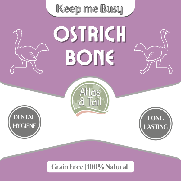 Ostrich Bone Online Hot Sale