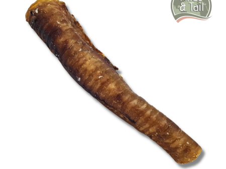 Whole Beef Tube | Trachea Discount