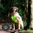 Ancol Stormguard Hi Vis Dog Coat Online