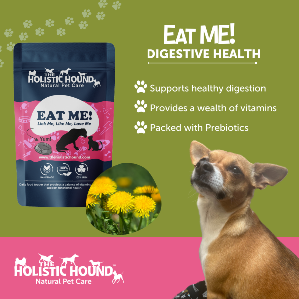 Holistic Hound Eat Me Sale