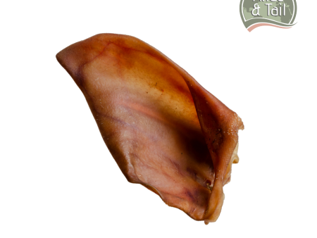 Pigs Ears Hot on Sale