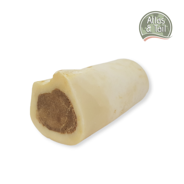 Atlas and Tail Beef Marrow Bone Online Hot Sale