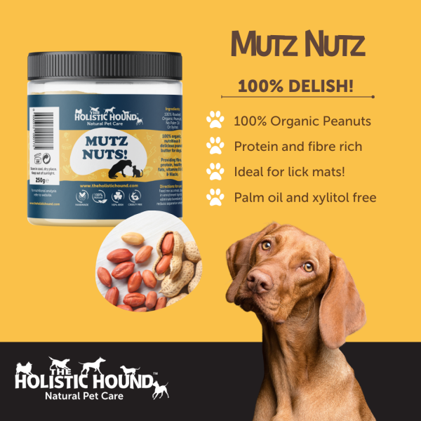 Organic Peanut Butter for Dogs - Mutz Nutz Sale