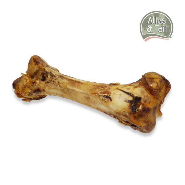 Ostrich Bone Online Hot Sale