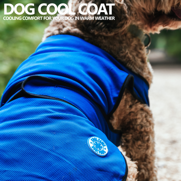 Ancol Cooling Vest Cheap