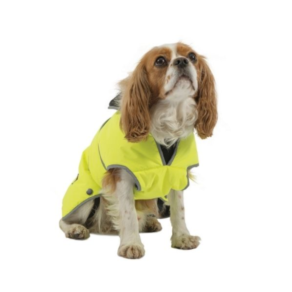 Ancol Stormguard Hi Vis Dog Coat Online