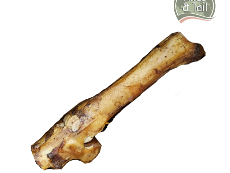 Beef Bone Online Sale