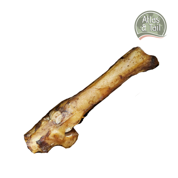 Beef Bone Online Sale