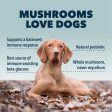 Four Leaf Rover - Turkey Tail Mushroom for Dogs Online Sale