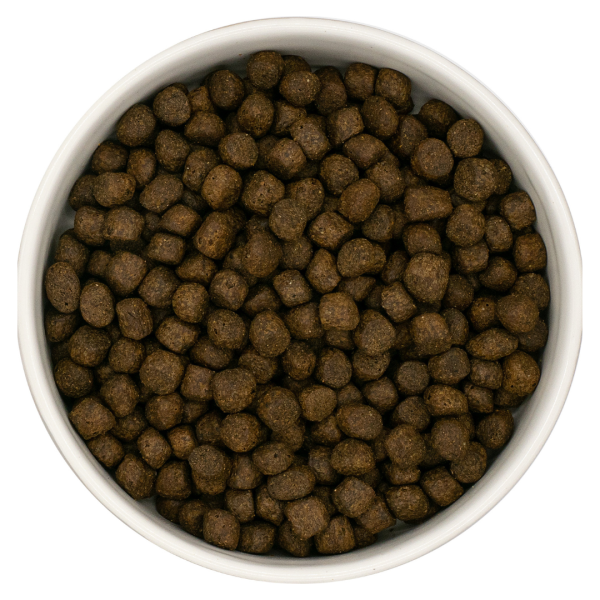 Nourish Rite Grain Free Puppy Food - Salmon For Cheap