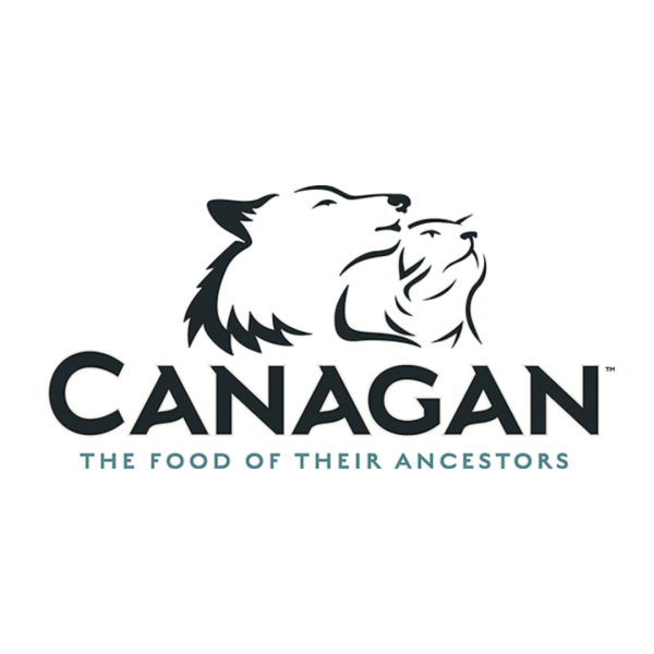 Canagan Senior Feast Wet Dog Food Online now