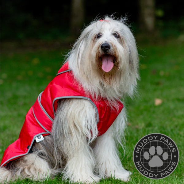 Ancol Stormguard Dog Coat Red Online Hot Sale