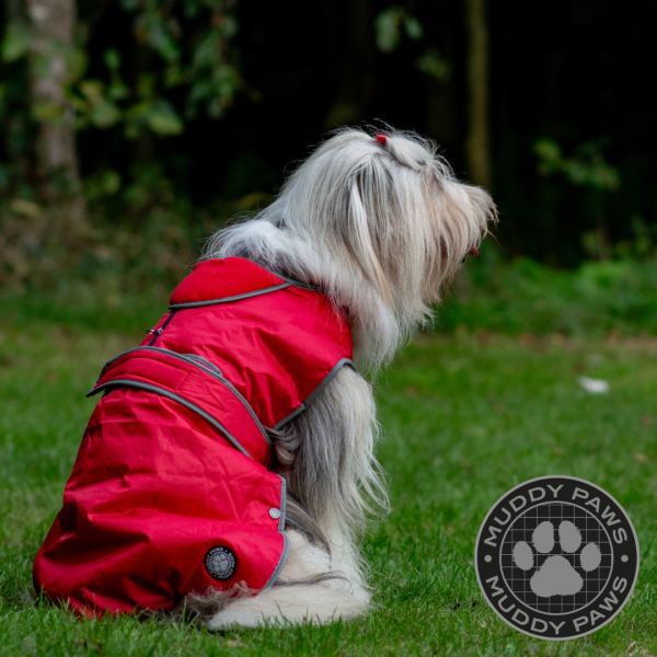 Ancol Stormguard Dog Coat Red Online Hot Sale