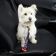 Bunty Pet Seat Belt Hot on Sale