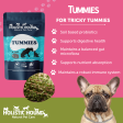 Holistic Hound Tummies - Pre and Probiotics for Dogs Discount