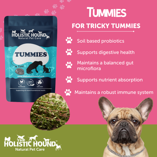 Holistic Hound Tummies - Pre and Probiotics for Dogs Discount