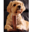 Bamboodles T-Bone Dog Chew - Roast Chicken Online Hot Sale